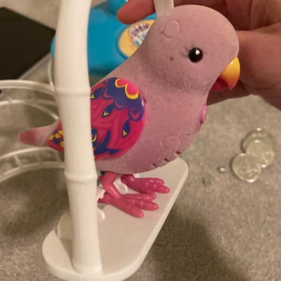 Little Live Pets Secret Songbird and cage - Picture 4 of 6